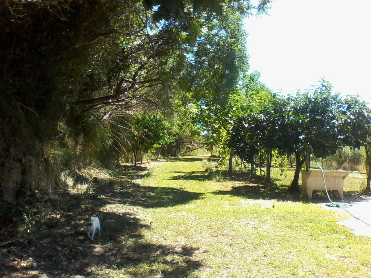 The Country Path B&B Toffia Exterior foto